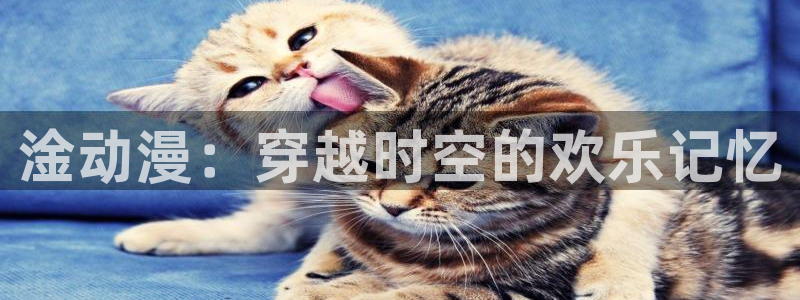 成人动漫天堂av：淦动漫：穿越时空的欢乐记忆