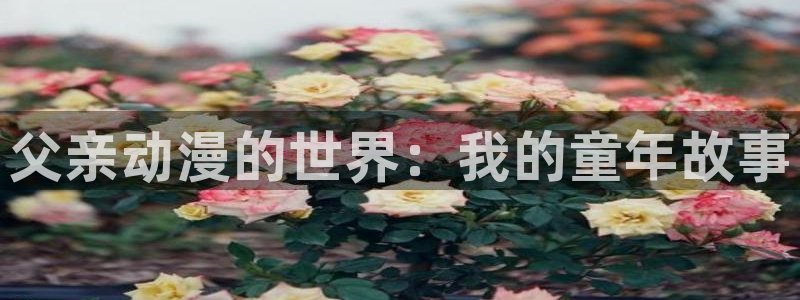 同人动漫天堂：父亲动漫的世界：我的童年故事