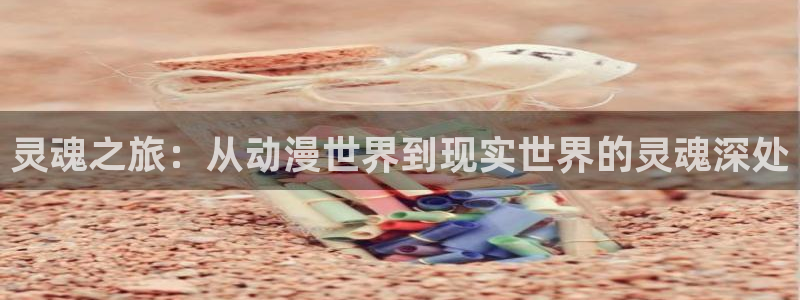 jk动漫天堂：灵魂之旅：从动漫世界到现实世界的灵魂深处