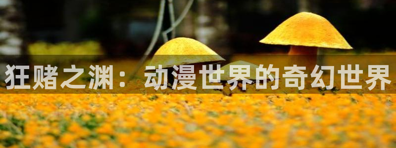 3d动漫天堂网：狂赌之渊：动漫世界的奇幻世界