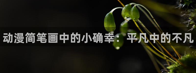 动漫天堂岛：动漫简笔画中的小确幸：平凡中的不凡