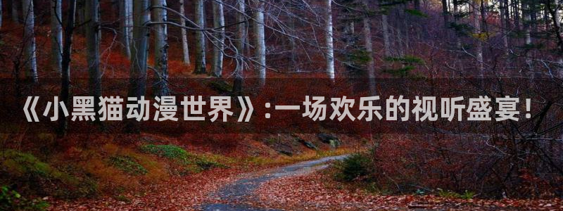 jm动漫天堂：《小黑猫动漫世界》:一场欢乐的视听盛宴！