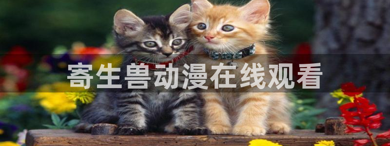 动漫天堂之吻：寄生兽动漫在线观看
