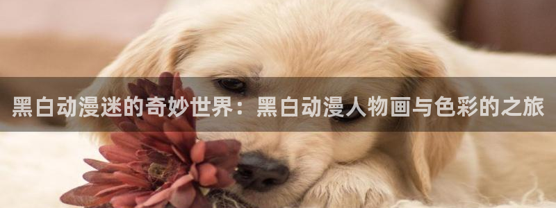 动漫天堂网：黑白动漫迷的奇妙世界：黑白动漫人物画与色彩的之旅