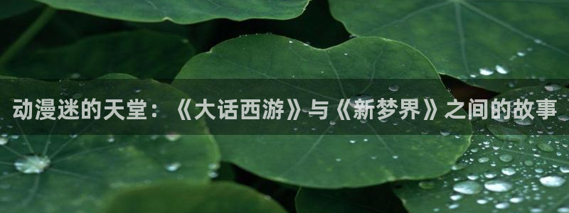 禁动漫天堂：动漫迷的天堂：《大话西游》与《新梦界》之间的故事