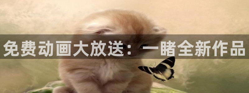 91动漫天堂：免费动画大放送：一睹全新作品