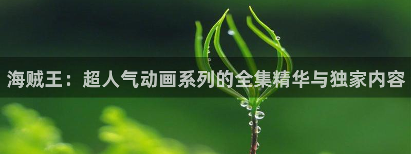 动漫天堂18：海贼王：超人气动画系列的全集精华与独家内容
