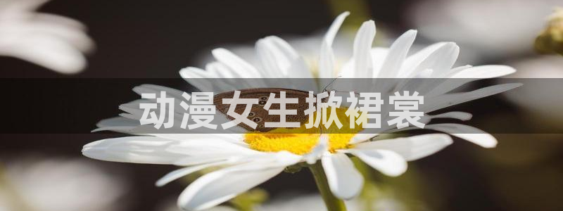 动漫天堂下载：动漫女生掀裙裳