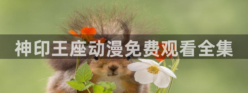动漫天堂在线：神印王座动漫免费观看全集