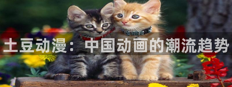 动漫天堂免费：土豆动漫：中国动画的潮流趋势