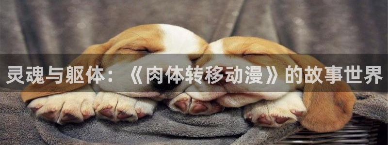 动漫天堂在线：灵魂与躯体：《肉体转移动漫》的故事世界
