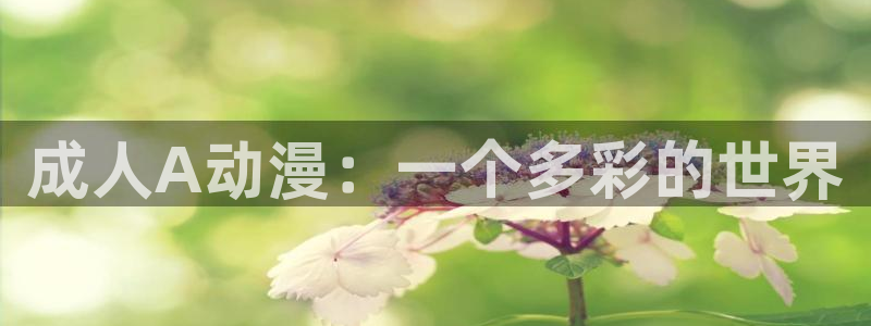 动漫天堂网址