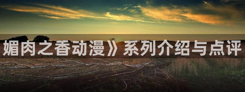 动漫天堂之吻：媚肉之香动漫》系列介绍与点评