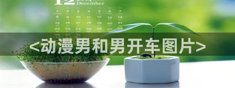 av动漫天堂网：<动漫男和男开车图片>