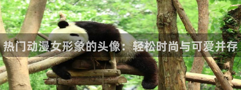 樱花动漫天堂