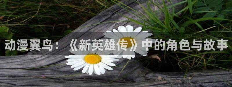 秋叶原动漫天堂