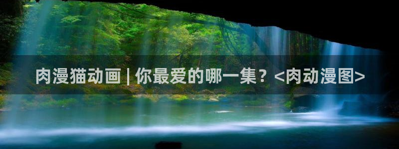 动漫天堂下载正版