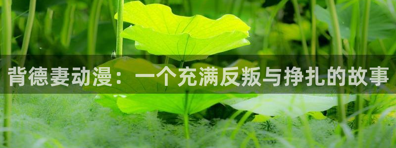 动漫天堂免费观看