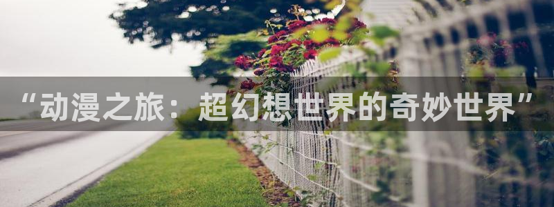 秋叶原动漫天堂