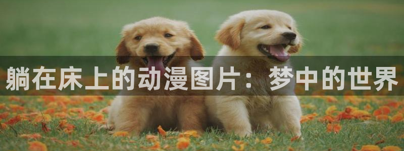 动漫天堂免费版