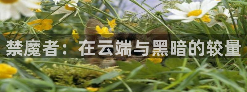 18动漫天堂：禁魔者：在云端与黑暗的较量