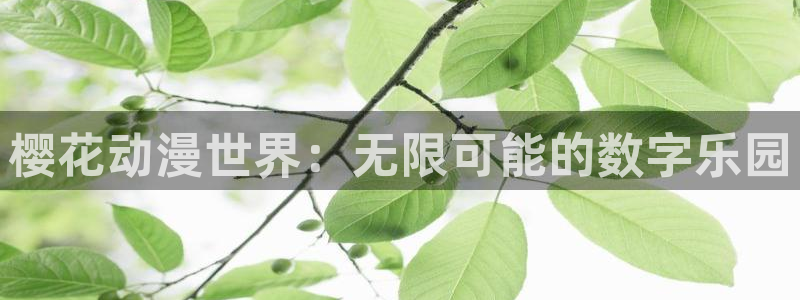 动漫天堂之吻：樱花动漫世界：无限可能的数字乐园