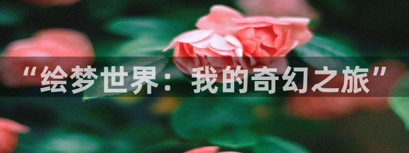 番剧推荐动漫天堂.：“绘梦世界：我的奇幻之旅”