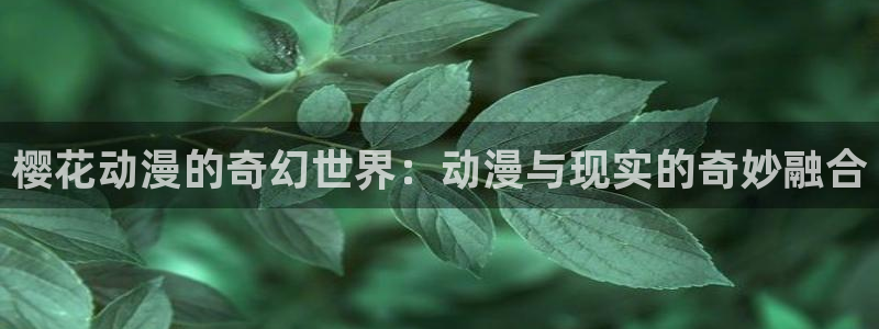 动漫天堂.：樱花动漫的奇幻世界：动漫与现实的奇妙融合