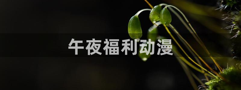 动漫天堂下载正版