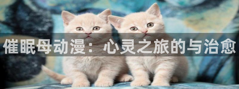 动漫天堂下载官方